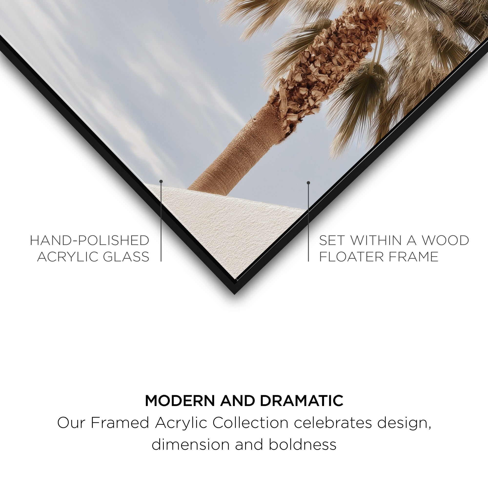 Monotone Tropics II