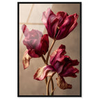 Dark Silk Remains