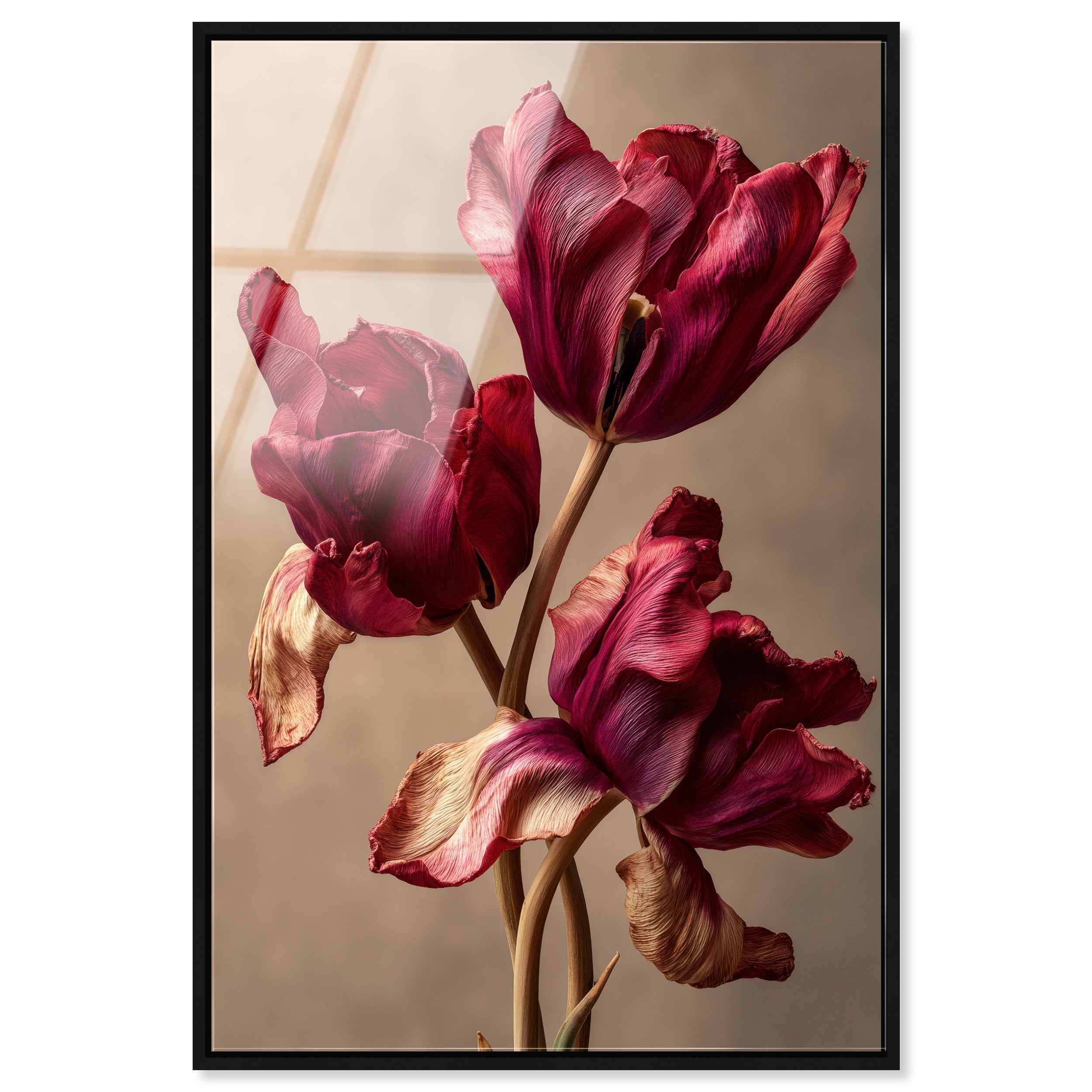 Dark Silk Remains