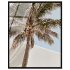 Monotone Tropics I
