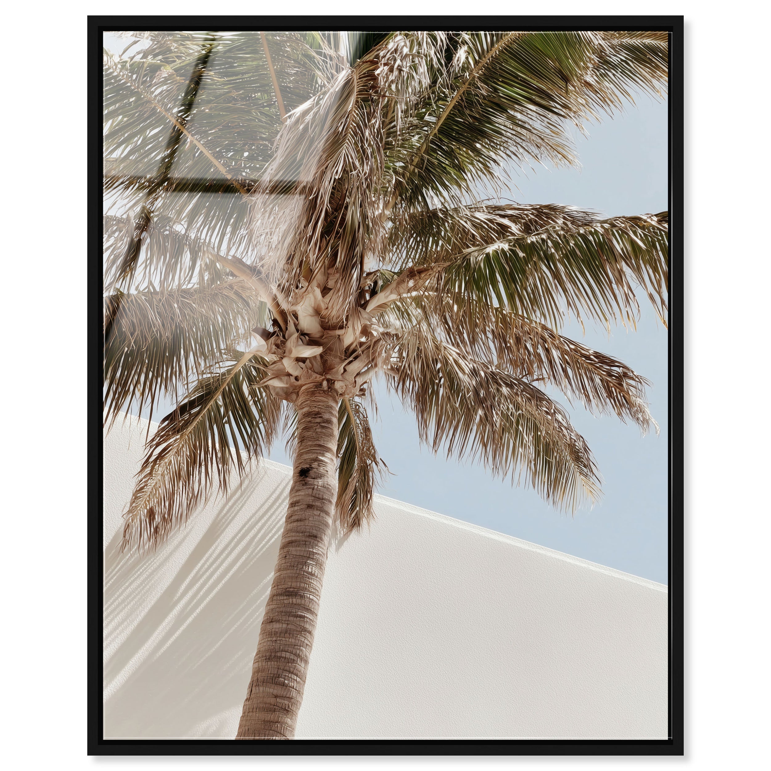 Monotone Tropics I
