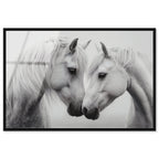 Twin Souls I