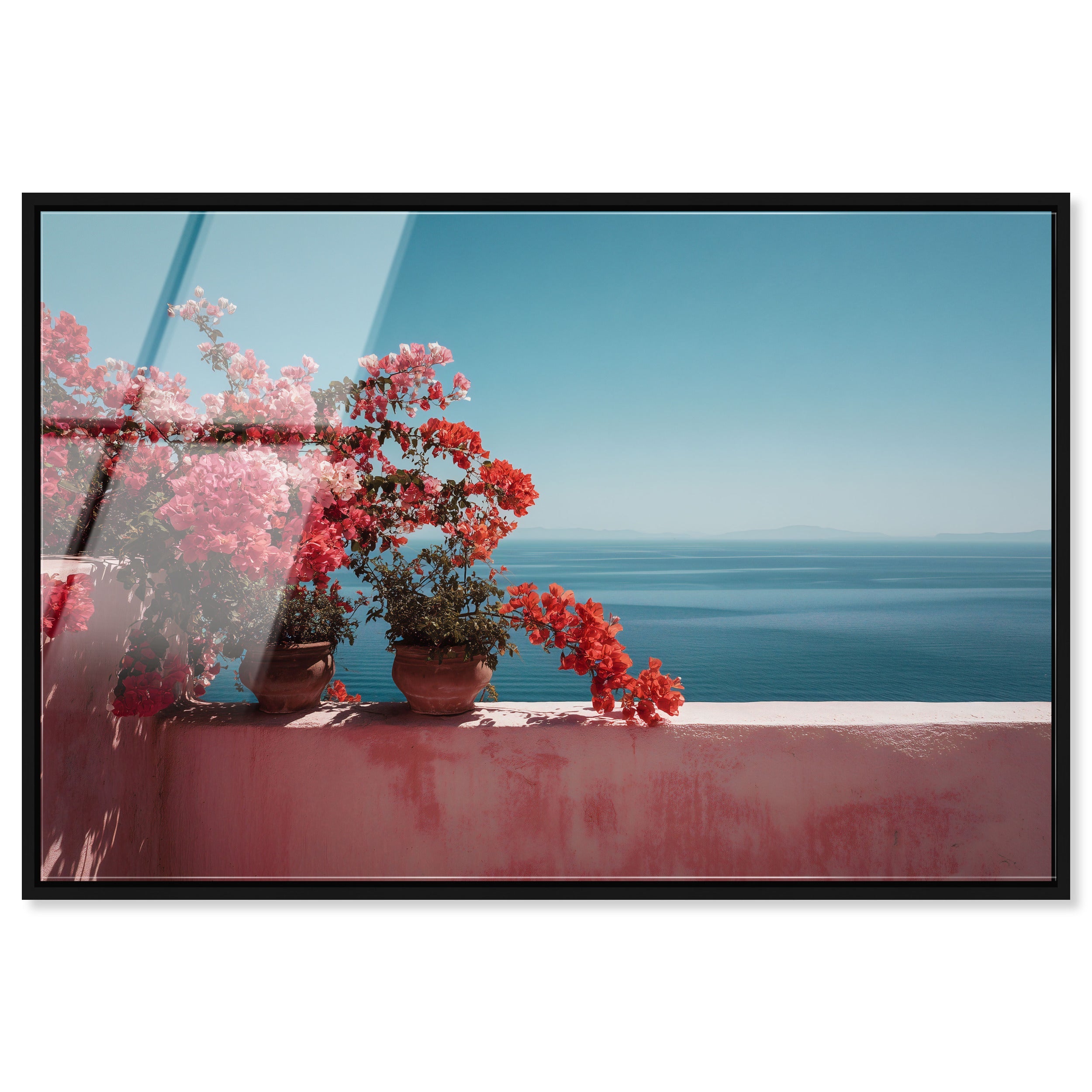 Roseate Horizon