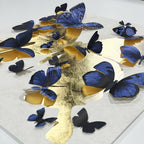 Butterfly Pins Prussian Bleu | Hand Embellished & Sculptural Gold Leaf Art