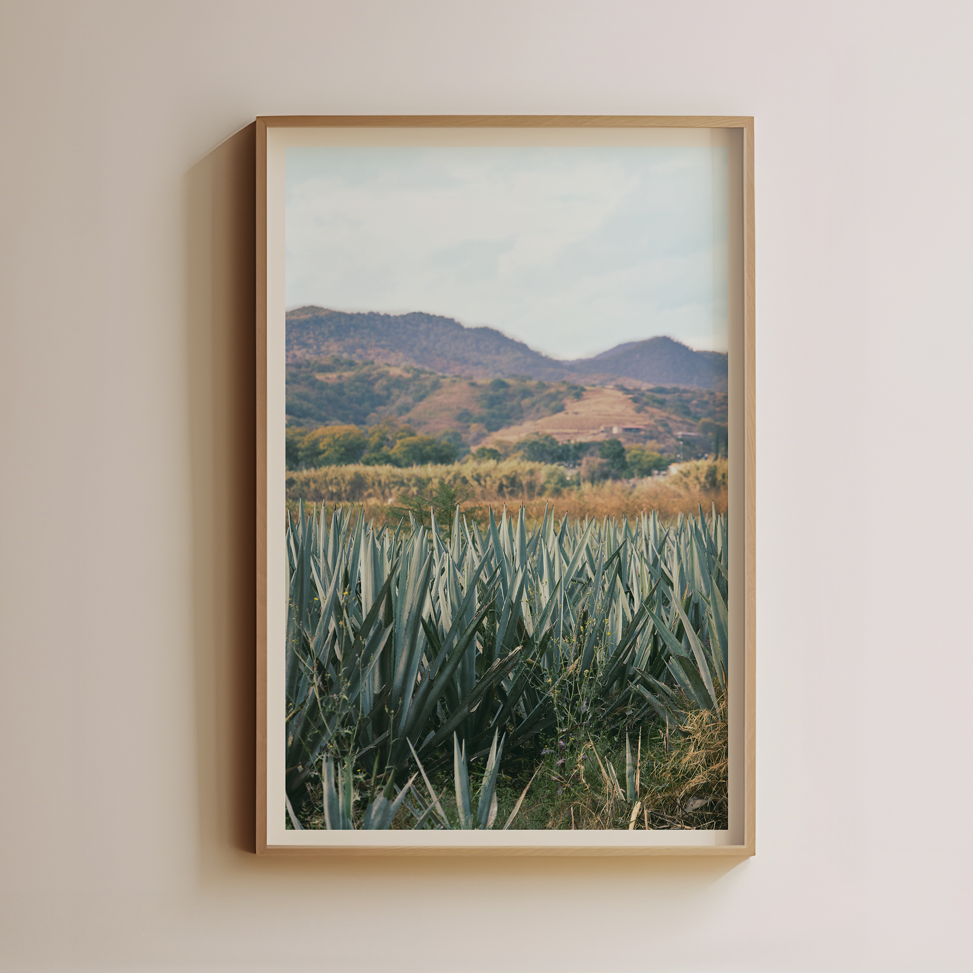 Oaxaca Agave Fields by Luis Martinez Main image