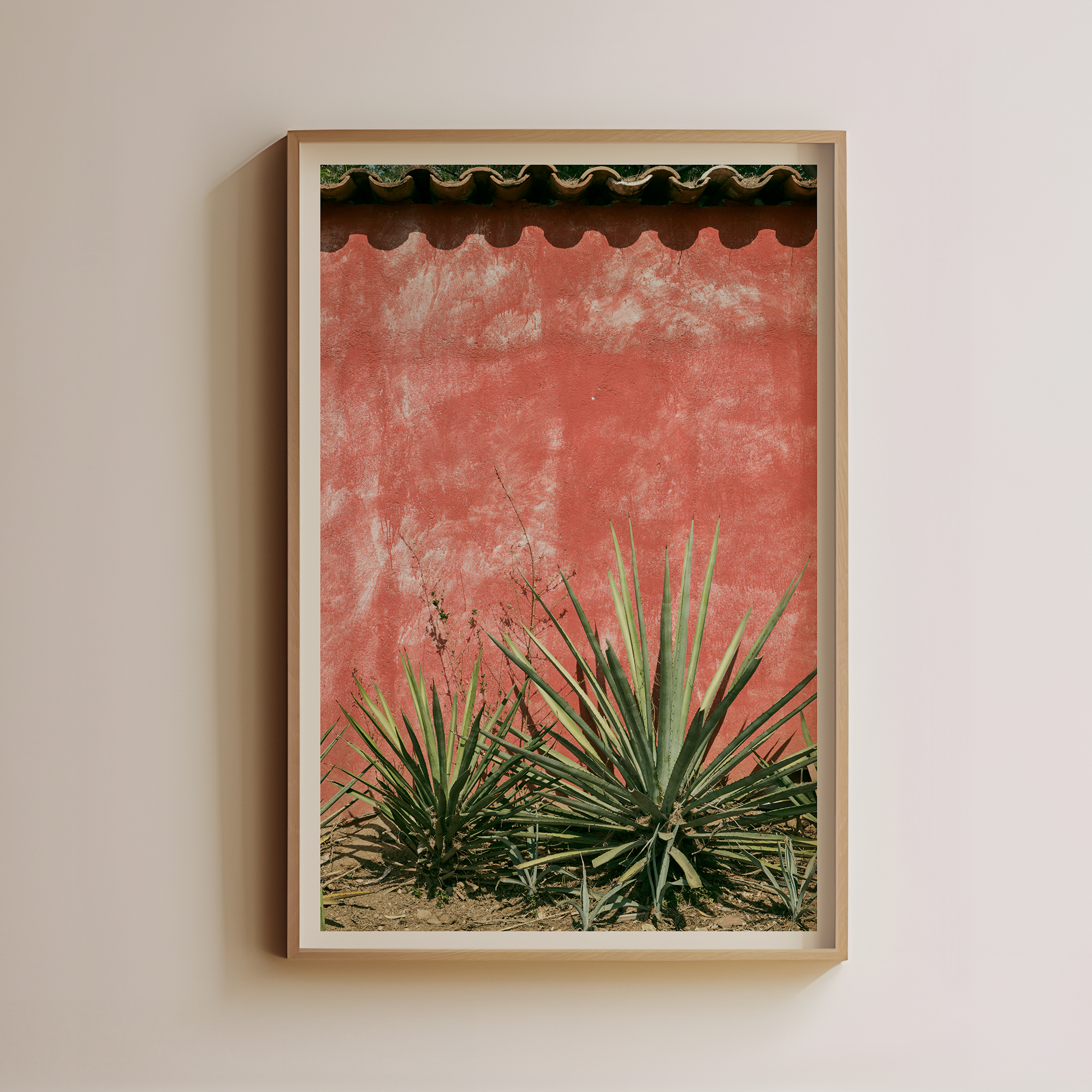 Agave Against Red Wall by Luis Martinez Main image